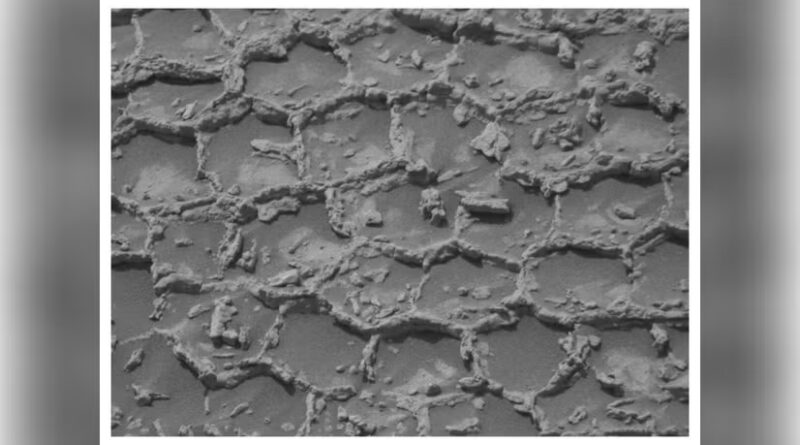 NASA's Curiosity Rover Finds Unusual Honeycomb-Like Rock Pattern on Mars: What Scientists Know So Far